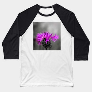 Purple flower over black and white Baseball T-Shirt